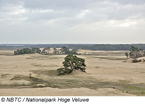 Nationalpark Hoge Veluwe